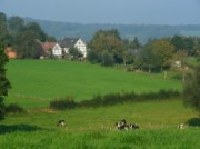 Voorbeeld afbeelding van Bungalow, vakantiehuis Magalunas in Mechelen