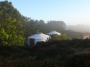 Voorbeeld afbeelding van Bijzonder overnachten Texel Yurts in Den Hoorn (Texel)
