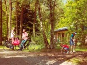 Voorbeeld afbeelding van Bungalow, vakantiehuis Landal Heideheuvel in Beekbergen