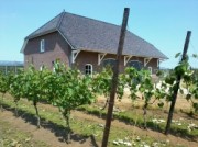 Voorbeeld afbeelding van Bungalow, vakantiehuis Vakantiehuis Heerlijkheid in Baarlo (L)