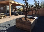 Voorbeeld afbeelding van Bungalow, vakantiehuis Vakantiehuis de Betuwe in Lienden