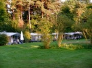 Voorbeeld afbeelding van Kamperen Landgoed Borkerheide in Westerbork