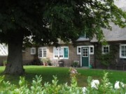 Voorbeeld afbeelding van Bungalow, vakantiehuis Gastenverblijf De Boschkamp in De Lutte