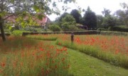 Voorbeeld afbeelding van Bungalow, vakantiehuis De Oude Graanzolder in Vriescheloo