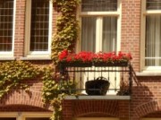 Voorbeeld afbeelding van Bed and Breakfast Rembrandt’s Elephant B&B in Amsterdam