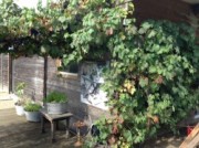 Voorbeeld afbeelding van Appartement Herbaloge in Maastricht