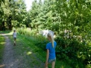 Voorbeeld afbeelding van Kamperen Camping Aan Veluwe in Oosterbeek