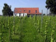 Voorbeeld afbeelding van Bed and Breakfast De Wijnstaete in Lemelerveld