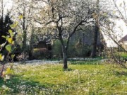 Voorbeeld afbeelding van Bungalow, vakantiehuis Het Vosje in Odoornerveen