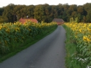 Voorbeeld afbeelding van Kamperen Kampeerboerderij De Baankreis in Almen