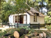 Voorbeeld afbeelding van Bungalow, vakantiehuis Het Lorkenbos in Otterlo