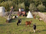 Voorbeeld afbeelding van Huurtent HetBoerenbed Hoeve De Pippert in Ophemert