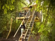 Voorbeeld afbeelding van Bed and Breakfast Boomhutovernachtingen in Lelystad