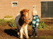 Voorbeeld afbeelding van Huurtent HetBoerenBed Het Wesselink in Schalkhaar
