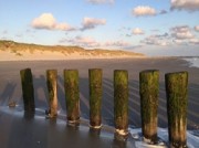 Voorbeeld afbeelding van Huurtent HetBoerenBed Boerderij Hollum in Hollum (Ameland)