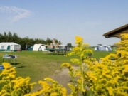 Voorbeeld afbeelding van Kamperen Camping de Blikvaart in Sint Annaparochie