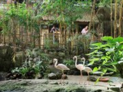 Voorbeeld afbeelding van Bijzonder overnachten Centerparcs Het Heijderbos in Heijen