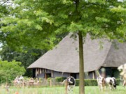 Voorbeeld afbeelding van Groepsaccommodatie De Vlaamse Schuur Landgoed De Hoevens in Alphen NB