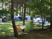 Voorbeeld afbeelding van Kamperen Camping het Horstmannsbos in Gasselte