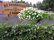 Voorbeeld afbeelding van Kamperen De Peelpoort in Heusden gem. Asten