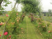 Voorbeeld afbeelding van Bed and Breakfast Fruitproeverij de Zandberg in Rijswijk Gld