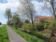 Voorbeeld afbeelding van Bungalow, vakantiehuis Gastenverblijf de Natureluur in Zevenhoven