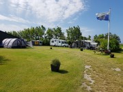 Voorbeeld afbeelding van Kamperen Camping De Waddenster in Den Hoorn (Texel)