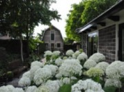Voorbeeld afbeelding van Bed and Breakfast De Oude Walnoot in Sint Pancras