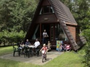Voorbeeld afbeelding van Bungalow, vakantiehuis Molecaten Park De Koerberg in Heerde