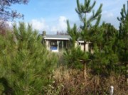 Voorbeeld afbeelding van Bungalow, vakantiehuis Cranberry in Ballum (Ameland)