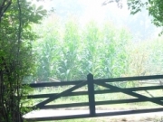 Voorbeeld afbeelding van Bed and Breakfast Mariahoeve in Putten
