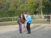 Voorbeeld afbeelding van Paardrijden, Manege, Huifkar Stal Holistisch Trainen, Kirsten Daamen in Vlagtwedde