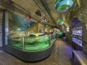 Voorbeeld afbeelding van Museum Fort Kijkduin en Noordzee Aquarium in Den Helder