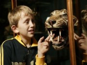 Voorbeeld afbeelding van Museum Natuurmuseum Fryslan in Leeuwarden