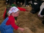 Voorbeeld afbeelding van Groepsactiviteiten In de Oude Melkput in Oude Niedorp