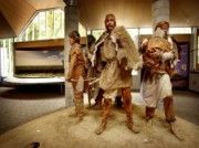 Voorbeeld afbeelding van Museum Hunebedcentrum en hunebed D27 in Borger