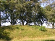 Voorbeeld afbeelding van Bezienswaardigheid Het Eppiesbergje en hunebed D34 in Odoorn