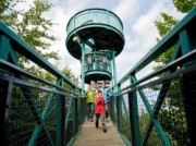 Voorbeeld afbeelding van Wandelroute Buitencentrum Boomkroonpad in Drouwen