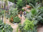 Voorbeeld afbeelding van Dierentuin De Orchideeën Hoeve in Luttelgeest