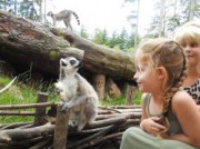Voorbeeld afbeelding van Dierentuin DierenPark Amersfoort in Amersfoort
