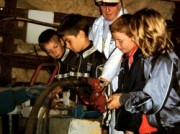 Voorbeeld afbeelding van Museum Steenkolenmijn Valkenburg in Valkenburg