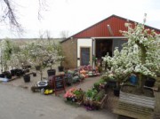 Voorbeeld afbeelding van Diversen Vink Fruitboerderij in Kraggenburg