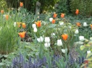 Voorbeeld afbeelding van Tuinen, Kunsttuinen De Goldhoorn Gardens in Bant