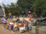 Voorbeeld afbeelding van Kinderboerderij, Boerderij bezoek Kinderboerderij Dondertman in Holten