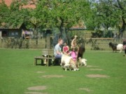 Voorbeeld afbeelding van Kinderboerderij, Boerderij bezoek Stadsboerderij De Vosheuvel in Amersfoort