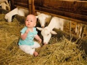 Voorbeeld afbeelding van Boerderij bezoek,Kinderboerderij Boerderij 't Geertje in Zoeterwoude