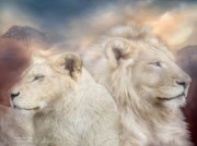 Voorbeeld afbeelding van Attractie, Pretpark Familiepretpark Mondo Verde in Landgraaf