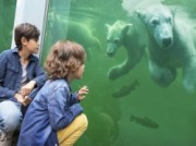 Voorbeeld afbeelding van Dierentuin Ouwehands Dierenpark in Rhenen