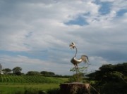 Voorbeeld afbeelding van Wijngaard, wijnproeverij Wijngaard Le Coq Frisé in Epen