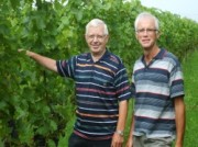 Voorbeeld afbeelding van Wijngaard, wijnproeverij Biologische Wijngaard de S-Akker in Dodewaard